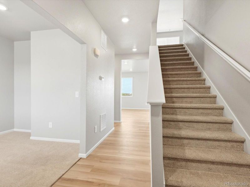 1675 Yampa River Dr, Windsor, CO 80550