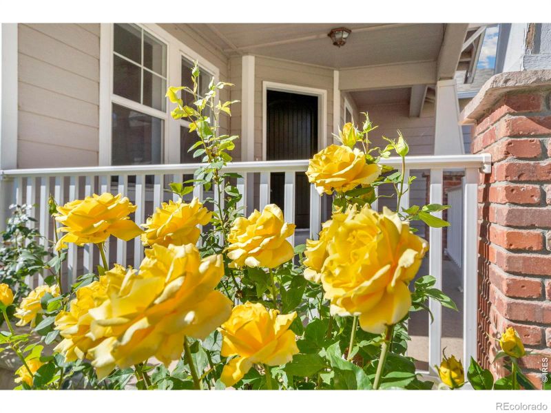 1398 Warbler St, Loveland, CO 80537