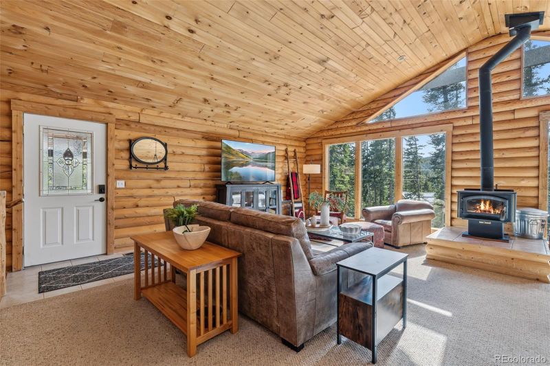 31 Forest Way, Fairplay, CO 80440