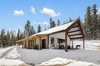 169 Puma Pl, Fairplay, CO 80440