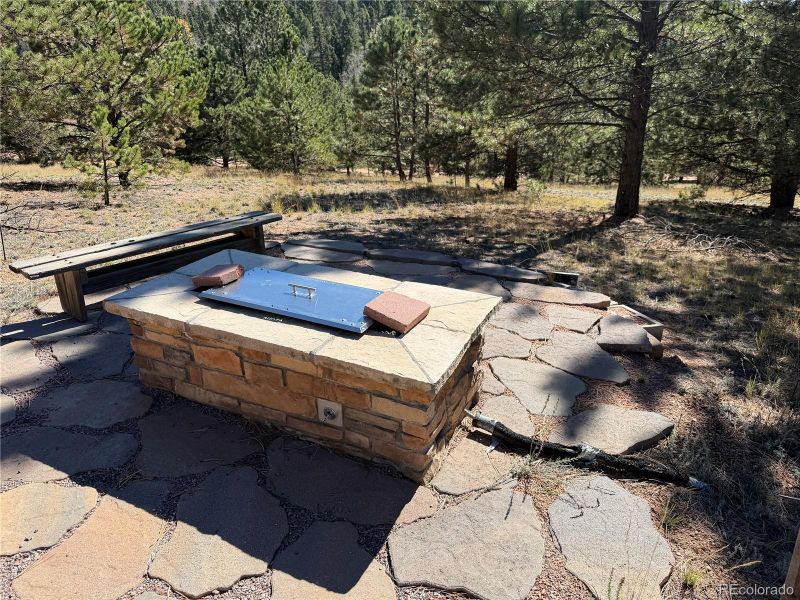36 Miller Creek Rd, Divide, CO 80814