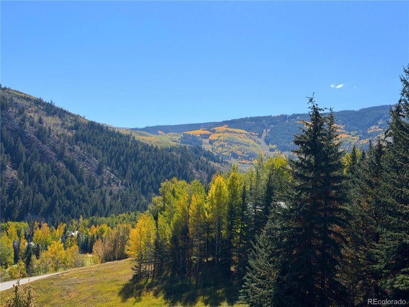 377 Holden Rd, Beaver Creek, CO 81620