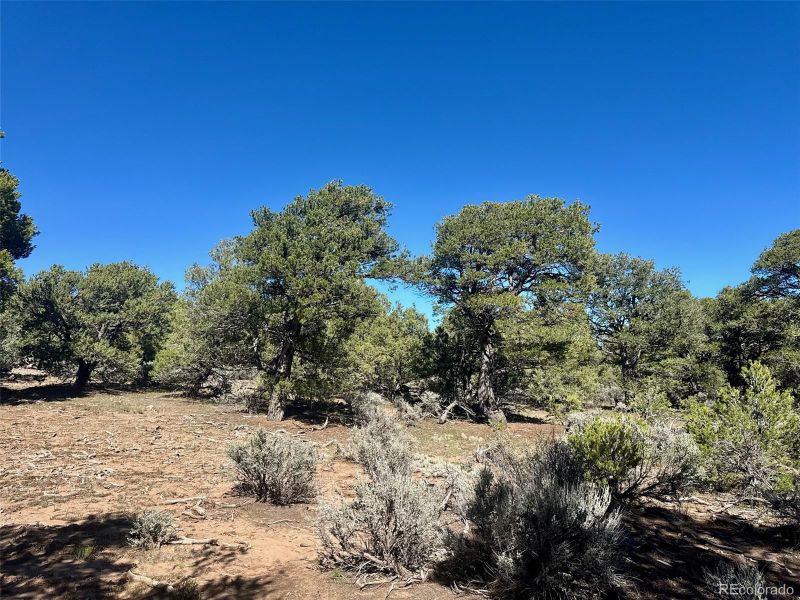 36 AC Elk Park Rd, San Luis, CO 81152