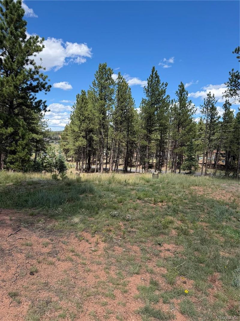 1396 Roberts Ranch Rd, Woodland Park, CO 80863