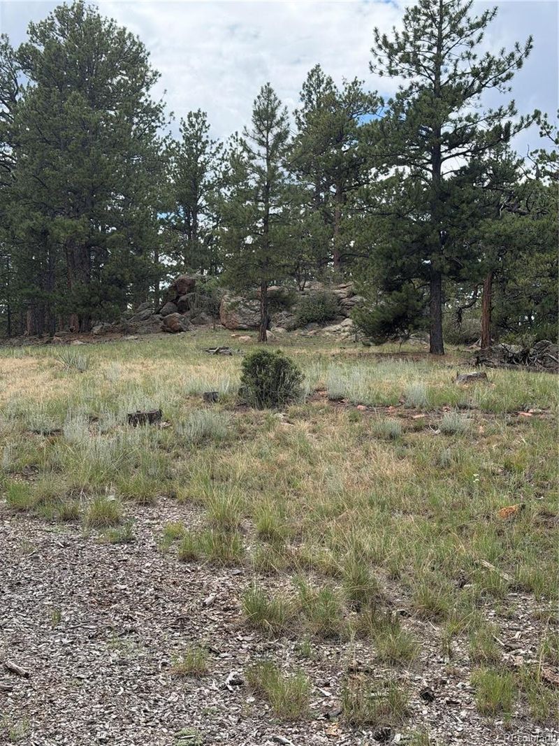 11042 County Rd 1, Florissant, CO 80816