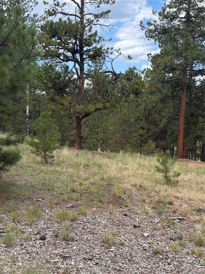 11042 County Rd 1, Florissant, CO 80816