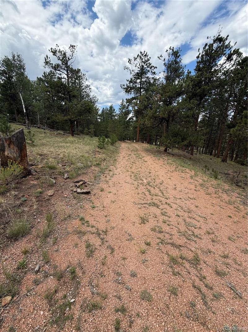11042 County Rd 1, Florissant, CO 80816