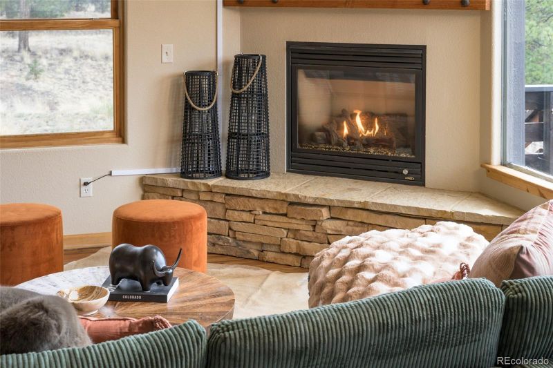 395 Apache Trl, Florissant, CO 80816