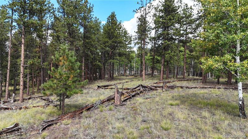 2265 Vagabond Creek Dr, Lake George, CO 80827