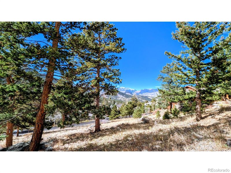 1441 Jungfrau Trl, Estes Park, CO 80517