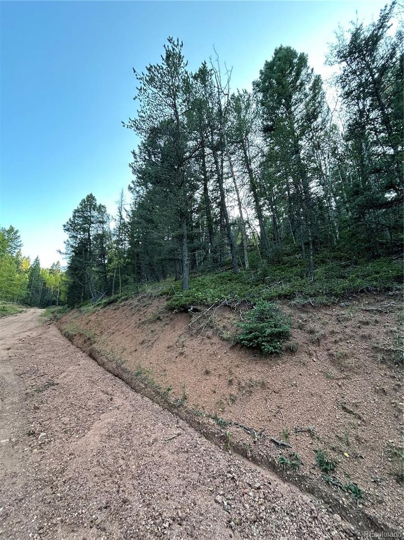 83 Sodalite Dr, Divide, CO 80814
