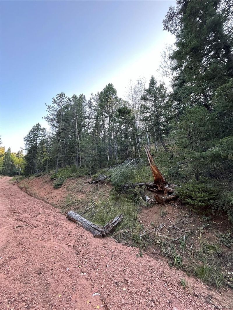 83 Sodalite Dr, Divide, CO 80814