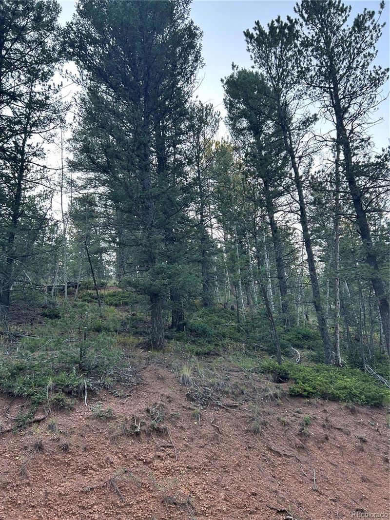 83 Sodalite Dr, Divide, CO 80814