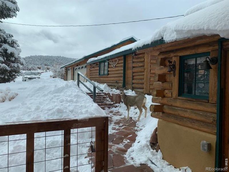 1011 Sutton Ln, Estes Park, CO 80517