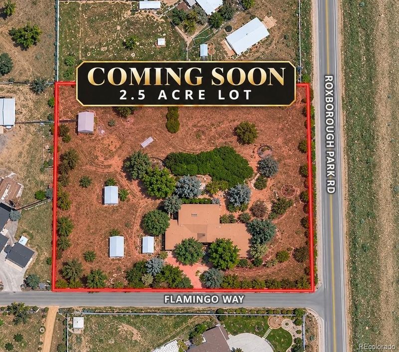 9037 Flamingo Way, Littleton, CO 80125