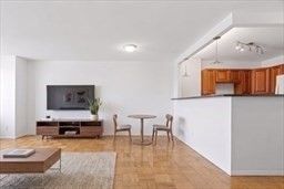 151 Tremont #21A, Boston, MA 02111