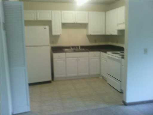 66 Tanbark Ct, Goose Creek, SC 29445