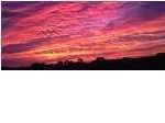 3701 Dock Site Rd #110, Edisto Beach, SC 29438