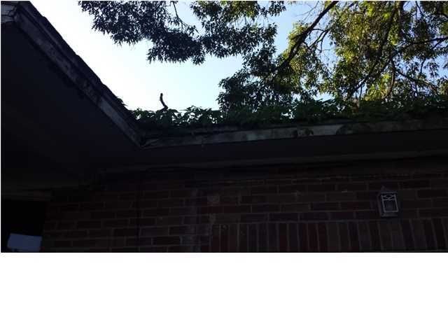 3643 Marginal Rd, Mount Pleasant, SC 29466