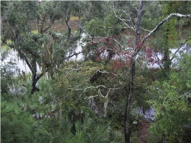 200 River Landing Dr #F210, Charleston, SC 29492