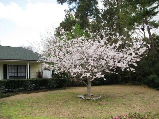 1002 Willowood Ave, Goose Creek, SC 29445