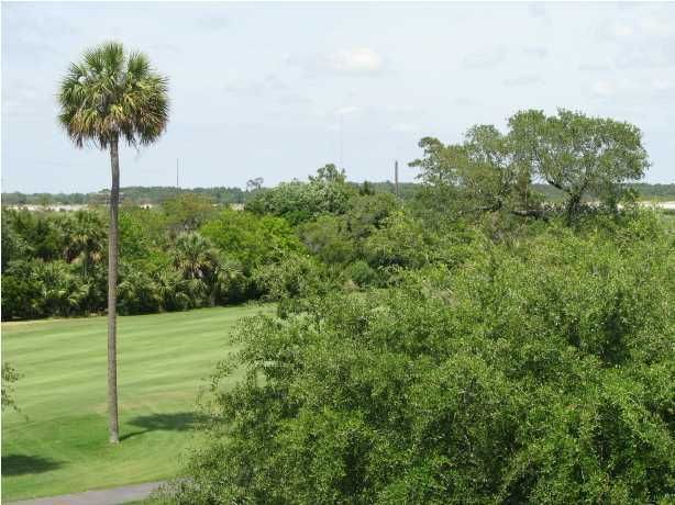 6 Commons Ct, Isle Of Palms, SC 29451