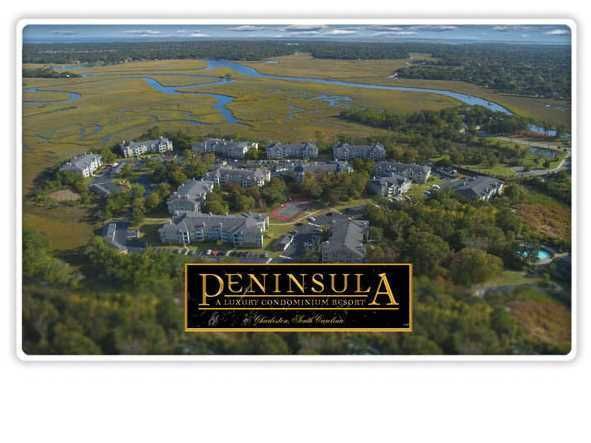 700 Daniel Ellis Dr #4202, Charleston, SC 29412