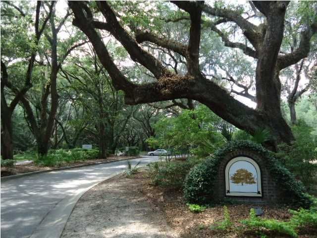 60 Fenwick Hall Alllee #737, Johns Island, SC 29455