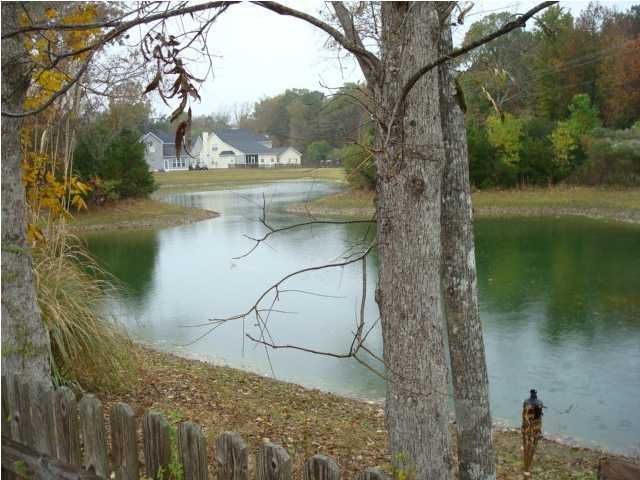 1277 Laurel Park Trl, Mount Pleasant, SC 29466