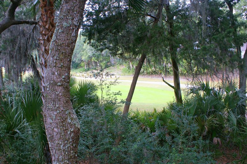 802 Treeloft Tc, Seabrook Island, SC 29455