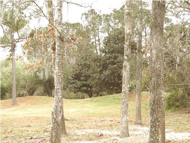 1163 E Park View Pl, Mount Pleasant, SC 29466