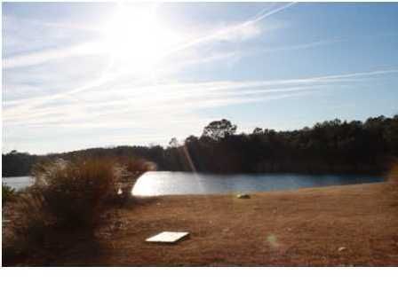 701 Balgrove Ct, Mount Pleasant, SC 29466