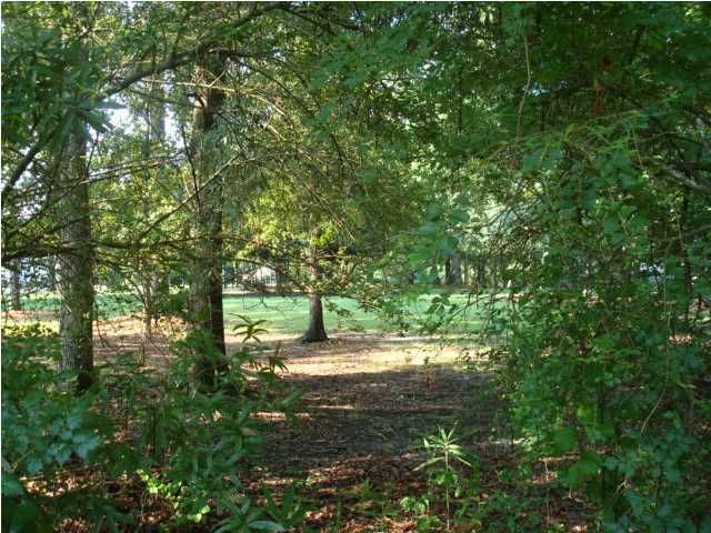 87 Lighthouse Dr, Goose Creek, SC 29445