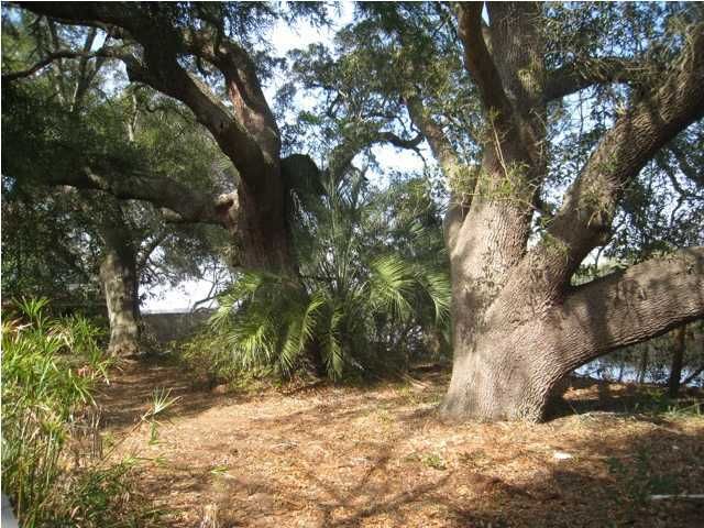 1436 Relyea Ave, James Island, SC 29412