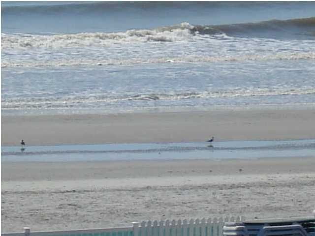 106 W Arctic Ave #3J, Folly Beach, SC 29439
