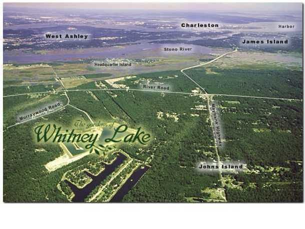 1711 Brittlebush Ln, Charleston, SC 29455