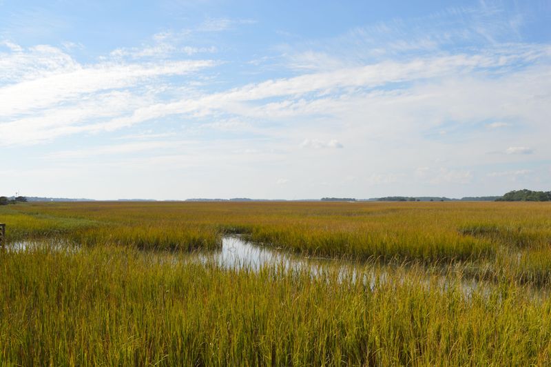 1642 E Ashley Ave, Folly Beach, SC 29439