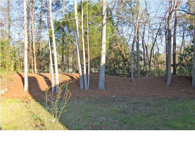 59 Arbor Tc, Charleston, SC 29414