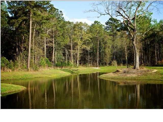 2901 Red Sky Dr, Charleston, SC 29414
