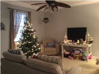2424 Fulford Ct, Mount Pleasant, SC 29466