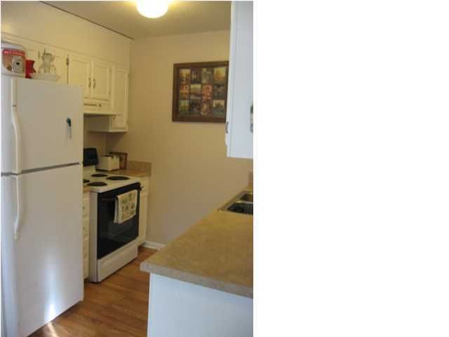114 Wappoolah Dr, Summerville, SC 29483