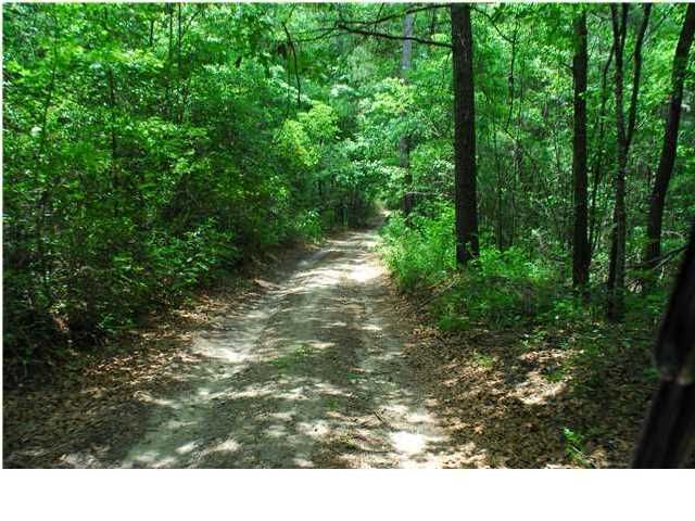 300 Ribbon Rd, Summerville, SC 29483