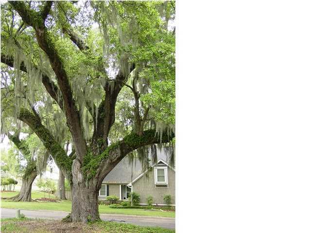 15 N Basilica Ave, Hanahan, SC 29410