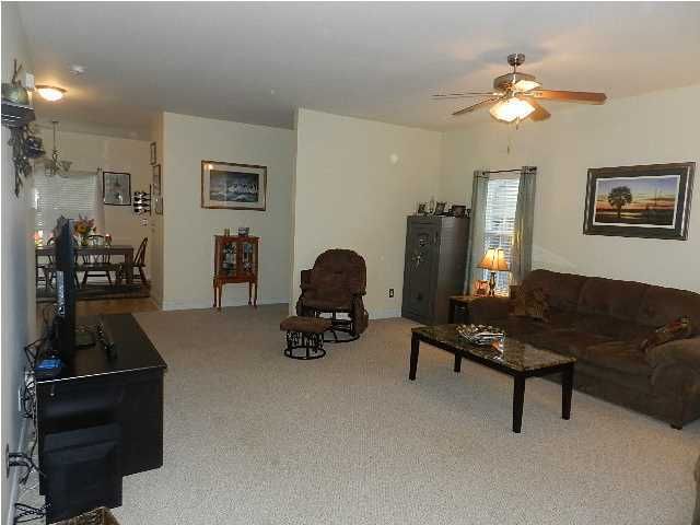 114 Caryota Ln, Summerville, SC 29483