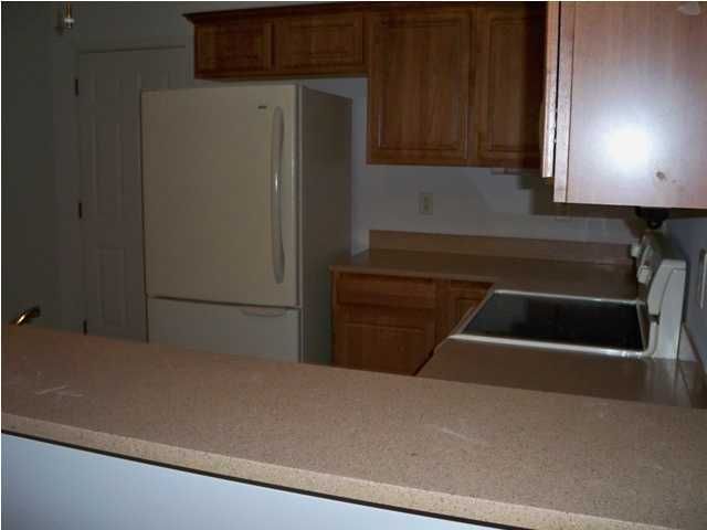110 Caryota Ln, Summerville, SC 29483