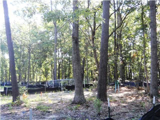 1645 Jessy Elizabeth Rd, Charleston, SC 29455