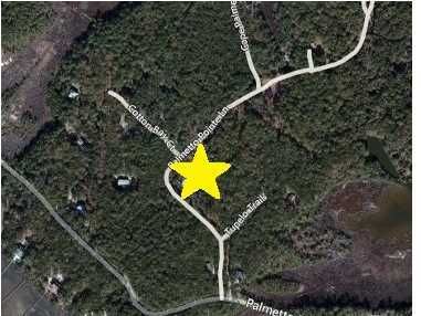 238 Palmetto Pointe Ln, Edisto Island, SC 29438