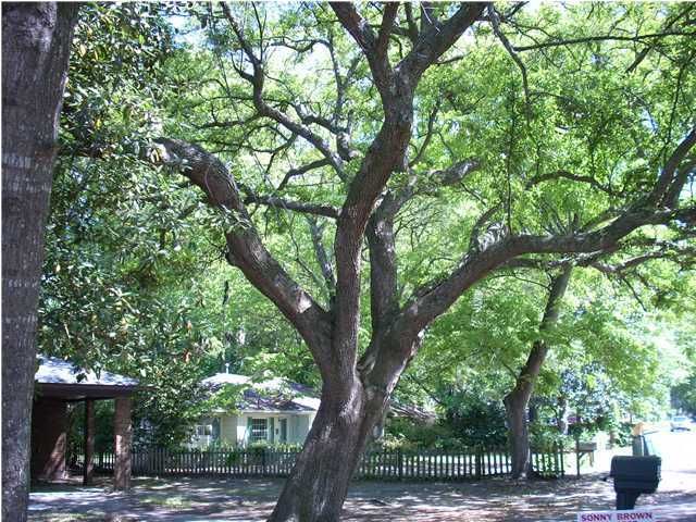 676 W Oak Forest Dr, Charleston, SC 29407