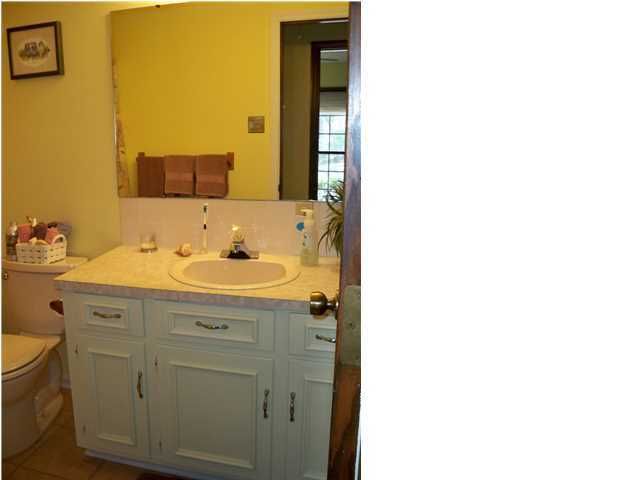 1046 Planters Curve, Mount Pleasant, SC 29464