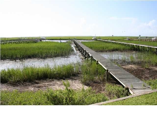 5031 Barrier Island Ct, Mount Pleasant, SC 29466